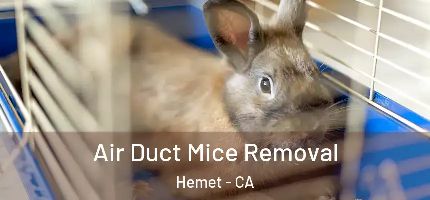 Air Duct Mice Removal Hemet - CA