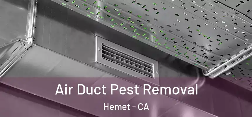  Air Duct Pest Removal Hemet - CA