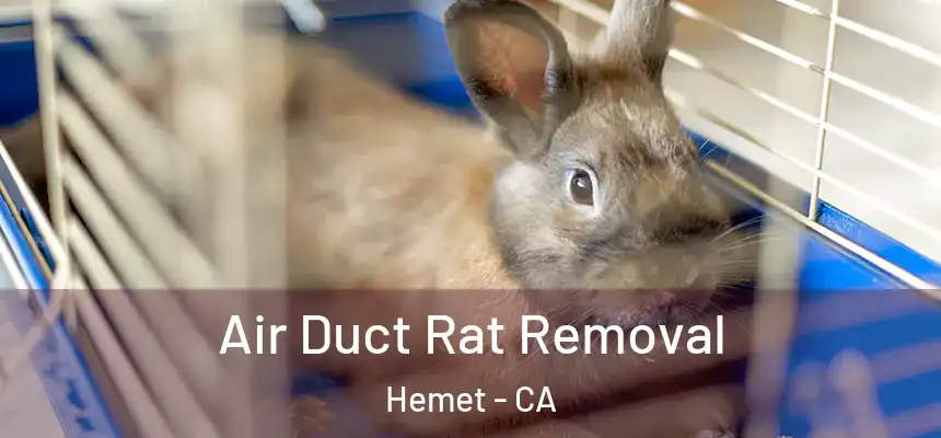  Air Duct Rat Removal Hemet - CA