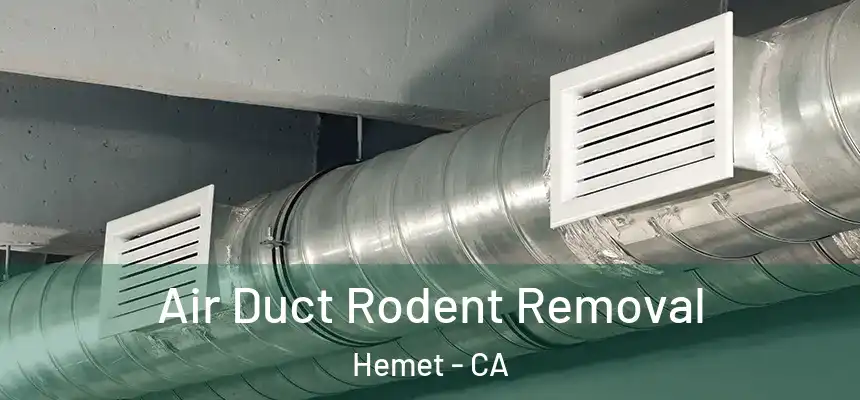  Air Duct Rodent Removal Hemet - CA