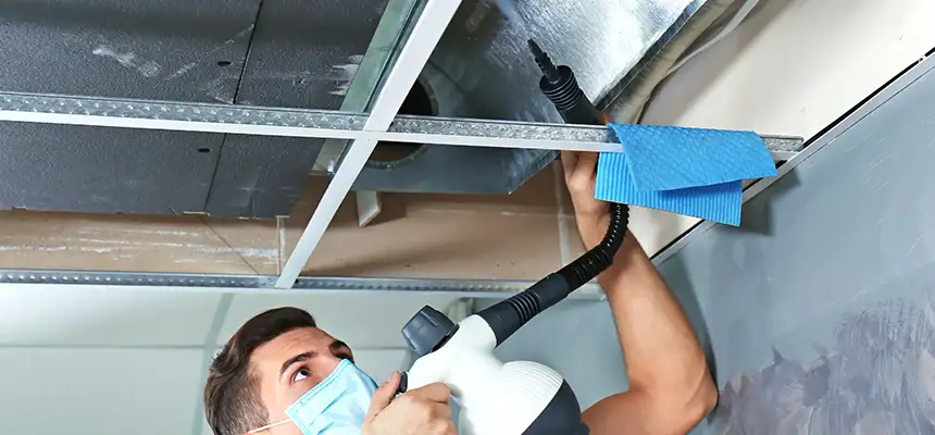 Our Air Duct Rodent Removal Services in Hemet, CA
