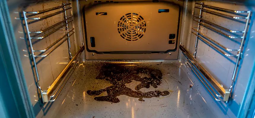 Our Dryer Vent Mold Cleaning Services in Hemet, CA