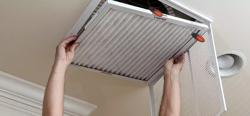 Our Insect Removal from Air Ducts Services in Hemet, CA