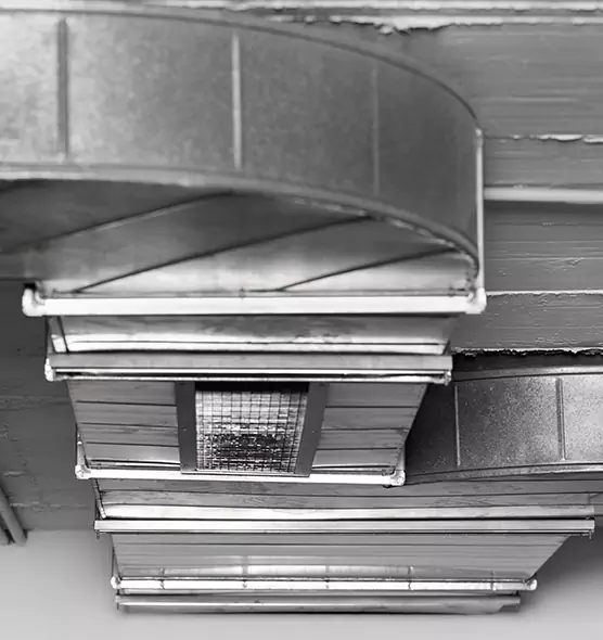 Professional Air Duct Pet Hair Removal in Hemet, CA