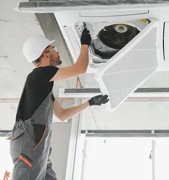 About Air Duct Rodent Removal in Hemet, CA