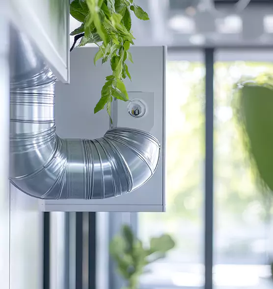 Professional Eco-Safe Dryer Vent Cleaning in Hemet, CA