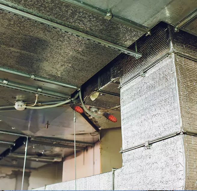 Why Homeowners & Businesses Trust Us in Hemet, CA?