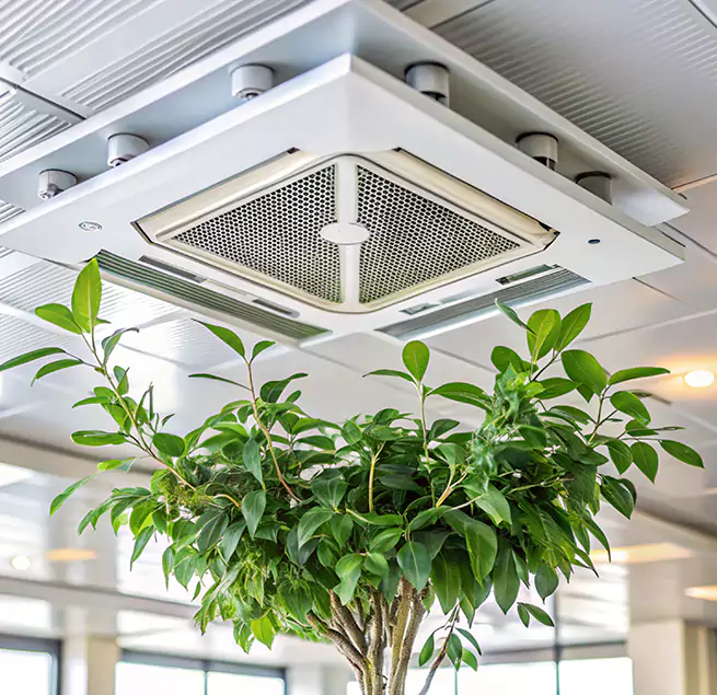 Why Homeowners & Businesses Trust Us in Hemet, CA