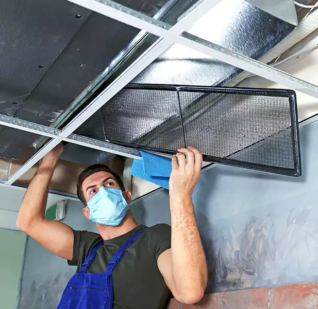 Why Homeowners Businesses Trust Us in Hemet, CA